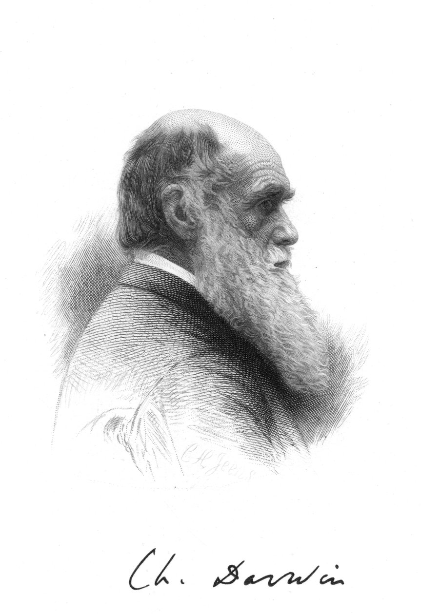 Charles Darwin, English naturalist by Unbekannt