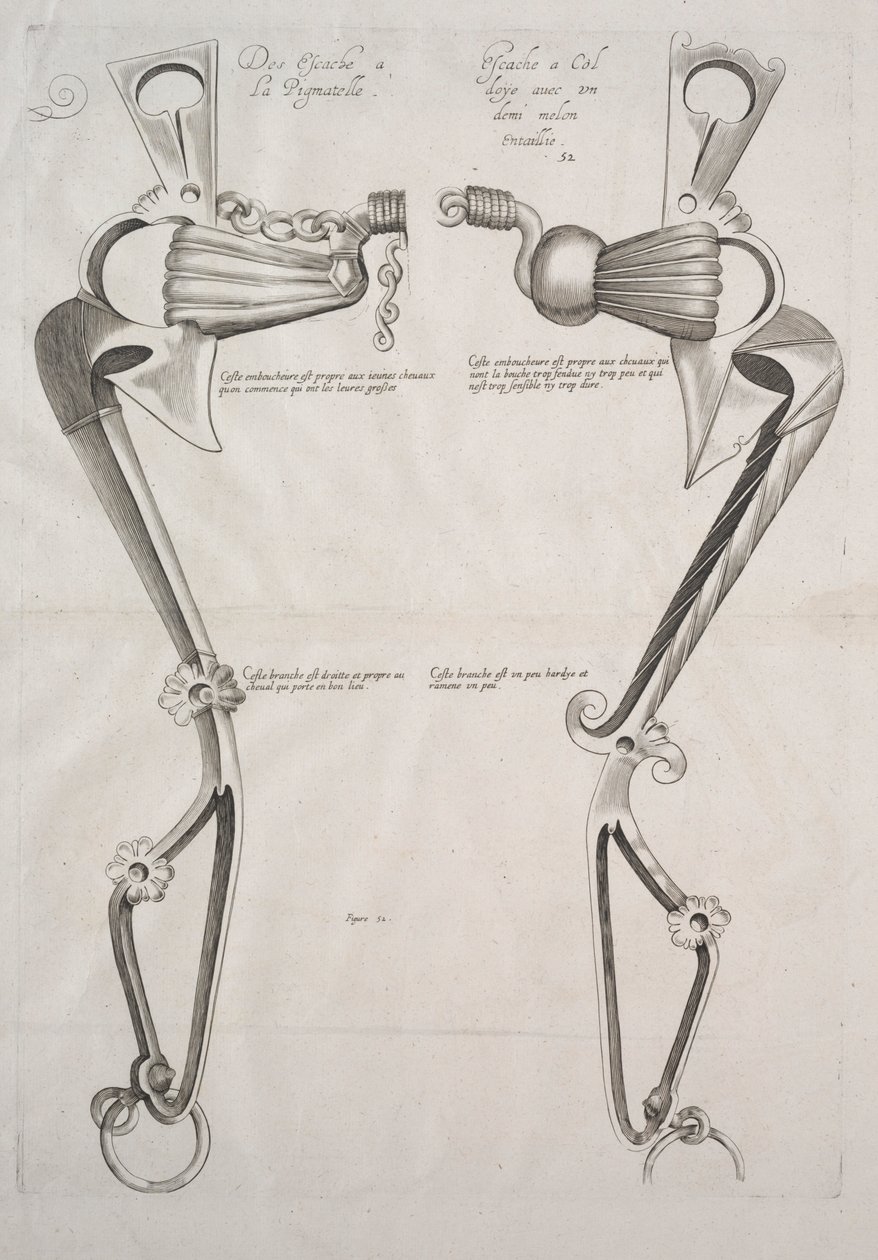 Diagram for Horses Bit by Unbekannt