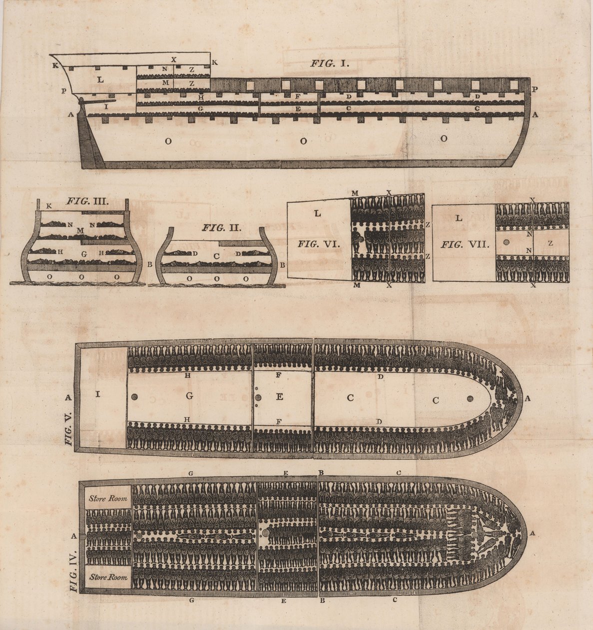 Diagram of a slave ship by Unbekannt