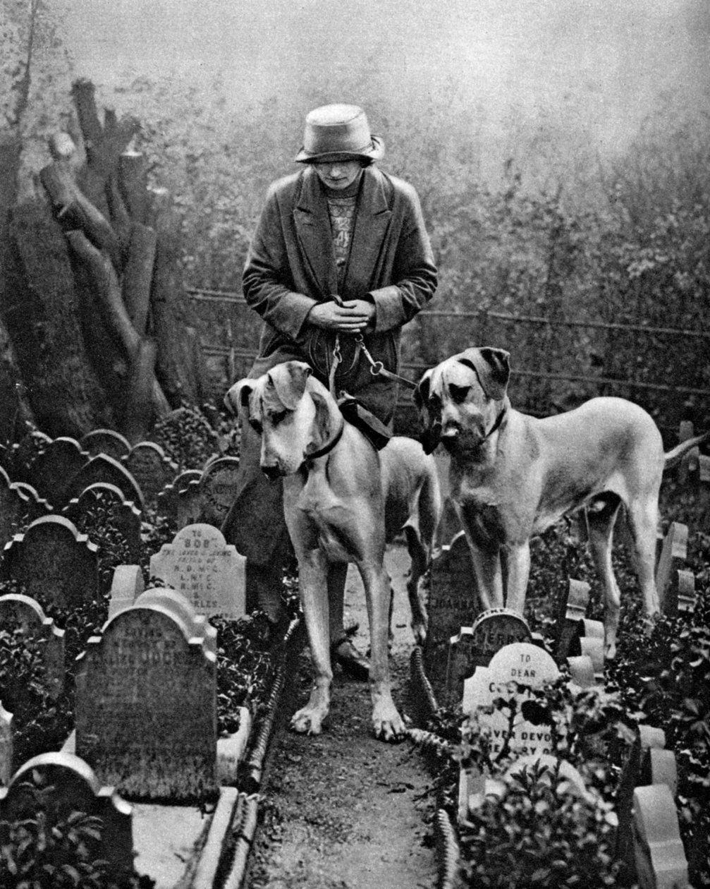 Dog Cemetery, Victoria Gate, Bayswater, London by Unbekannt