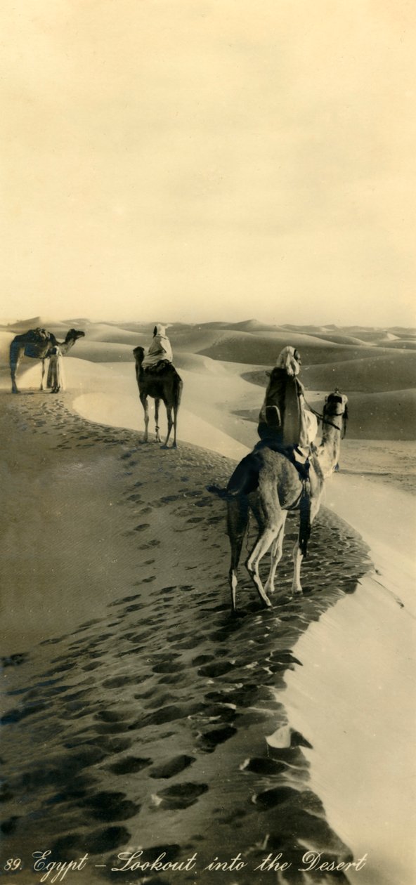 Egypt - Lookout into the Desert by Unbekannt