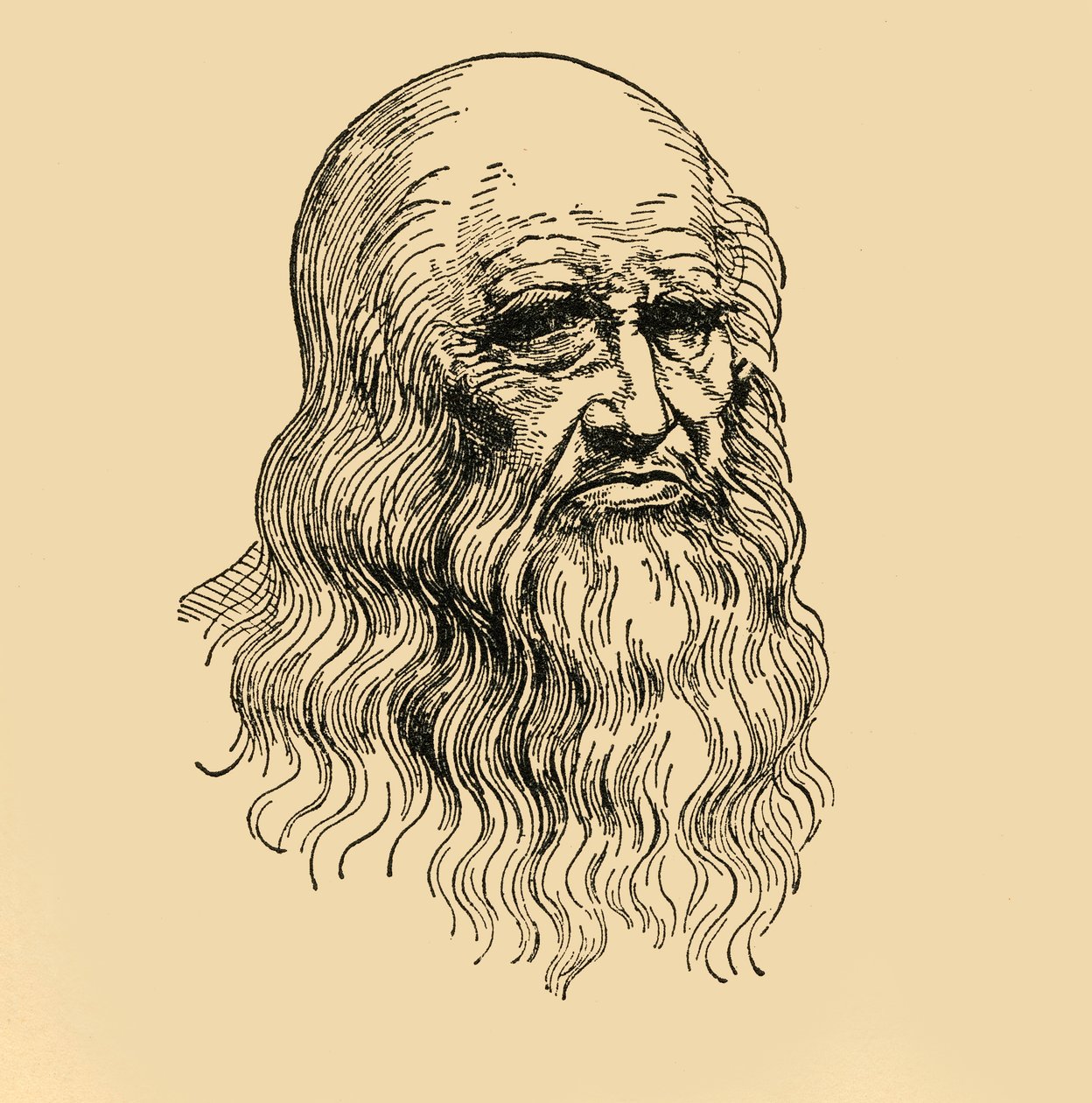 Leonardo Da Vinci by Unbekannt