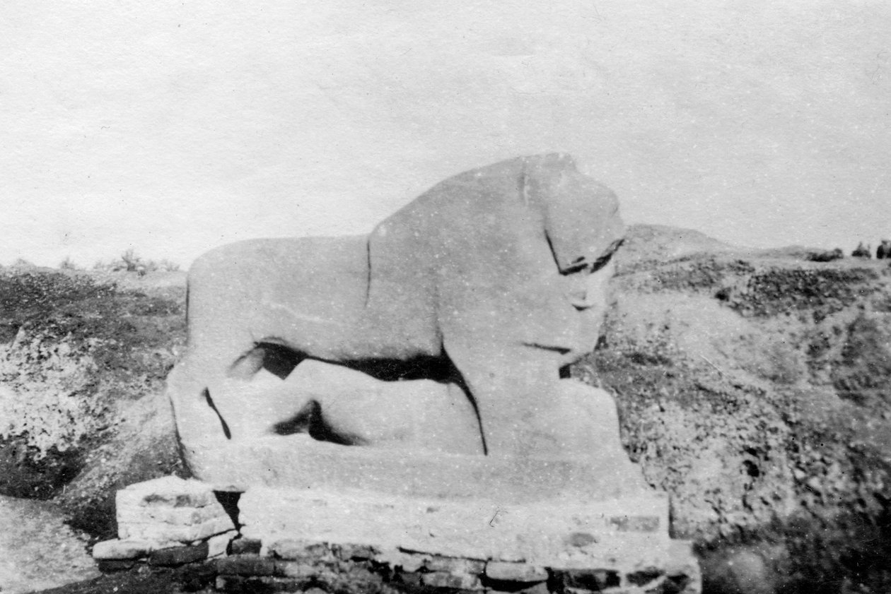 Lion of Babylon statue, Babylon, Babil, Mesopotamia by Unbekannt