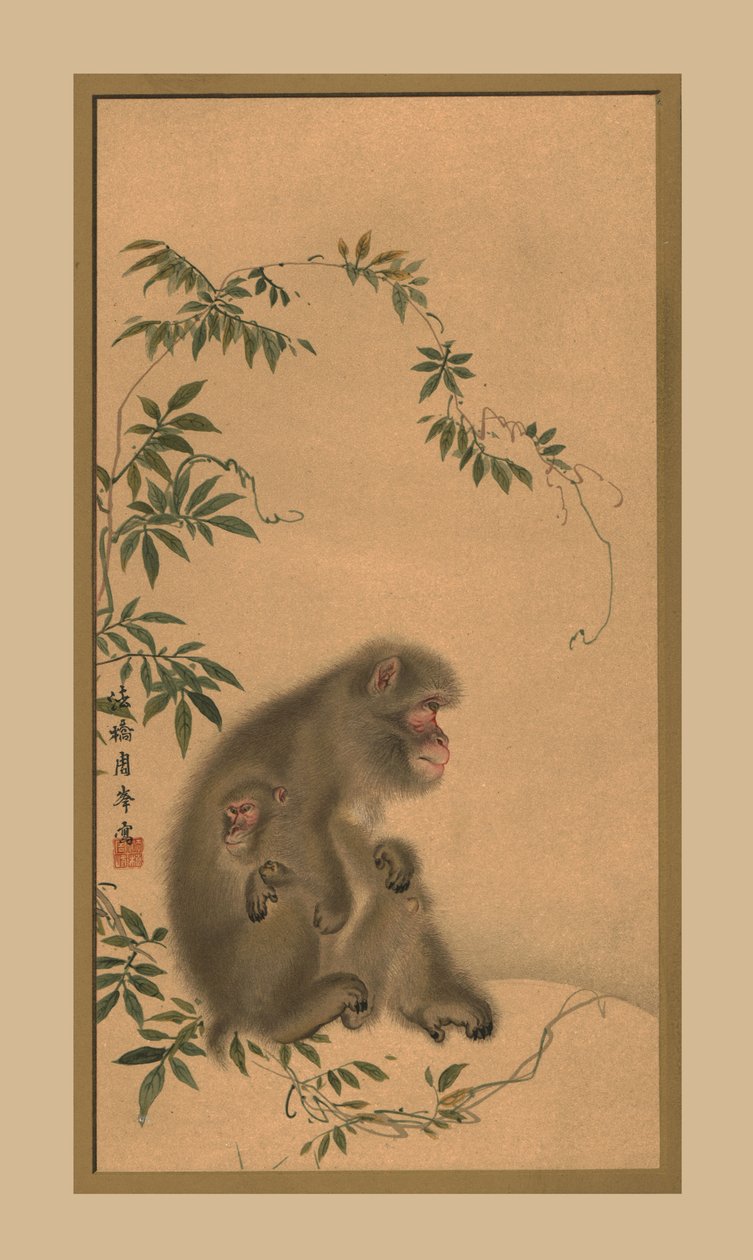 Monkey by Unbekannt