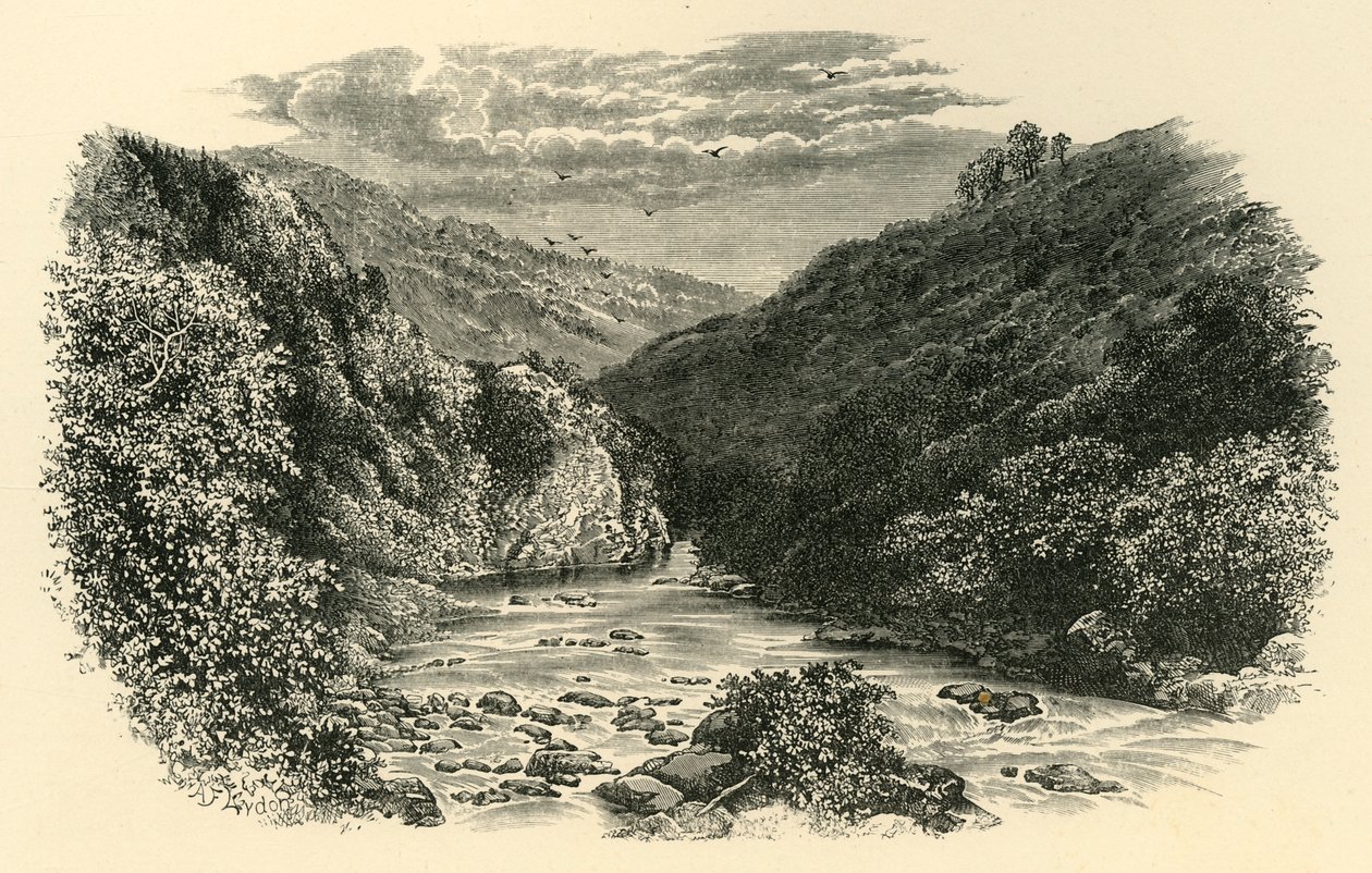 On the Dart, Lovers Leap, c. 1890 by Unbekannt