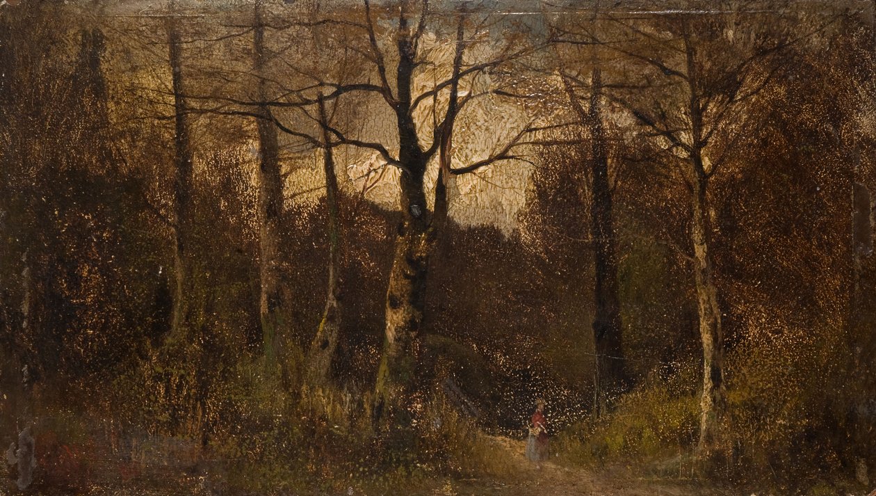 Path through a Wood by Unbekannt