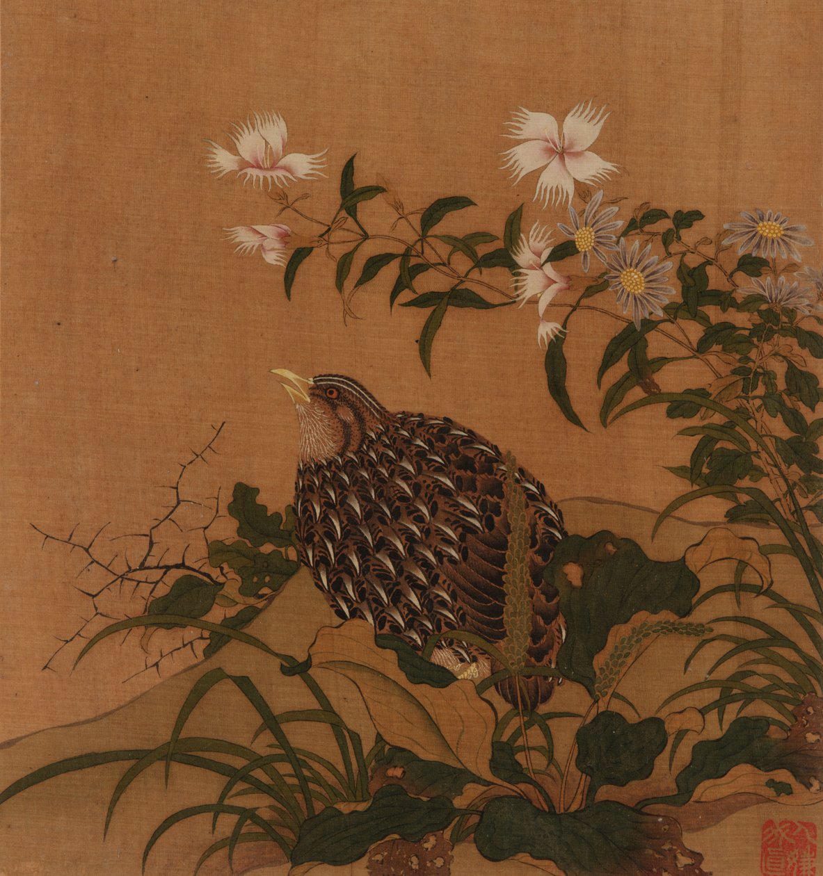 Quail and Flowers by Unbekannt