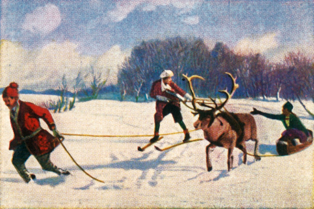 Reindeer sledge ride in Sweden by Unbekannt