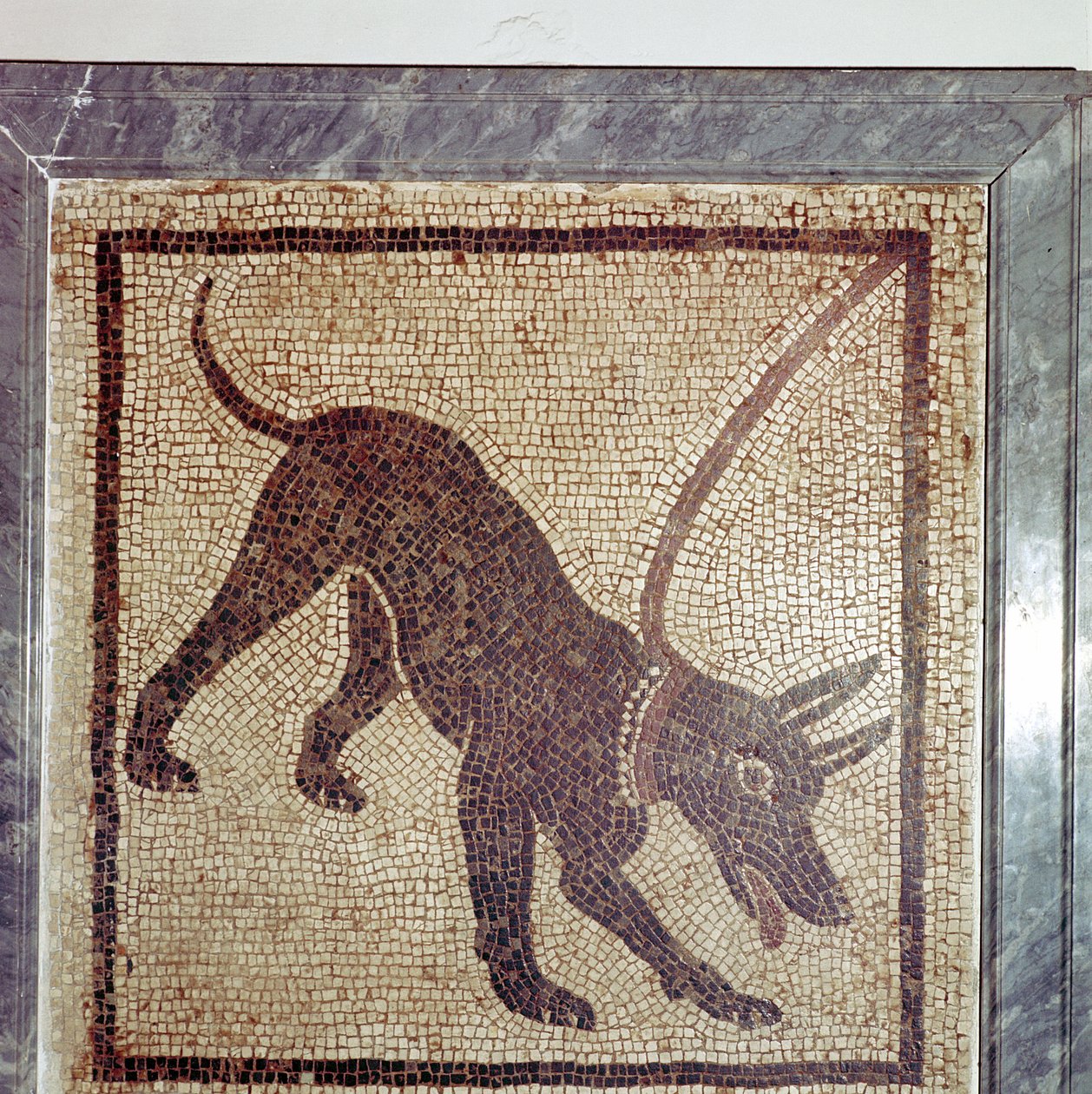 Roman Mosaic of Dog, Cave Canem, Pompeii, Italy by Unbekannt
