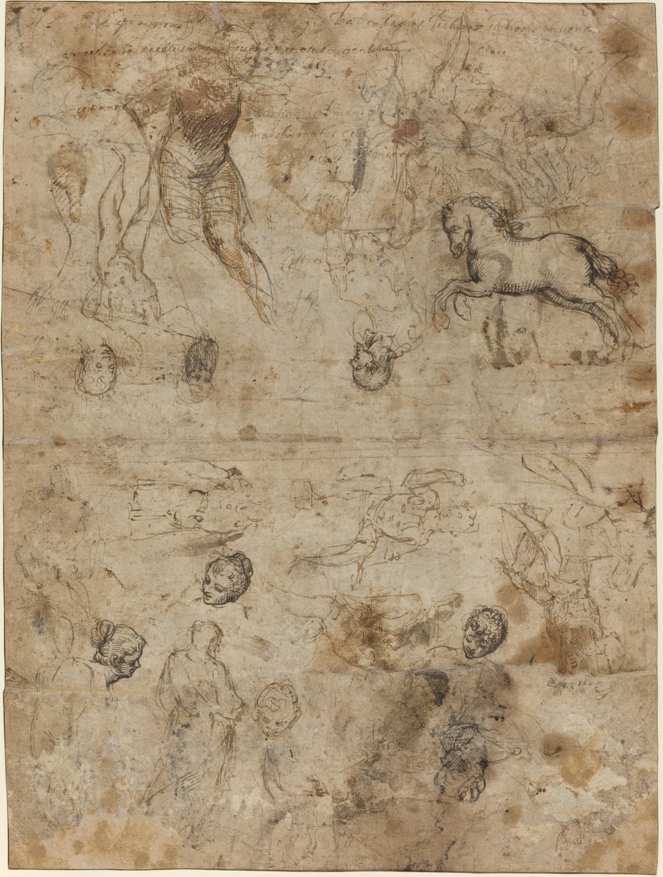 Sheet of Studies by Unbekannt