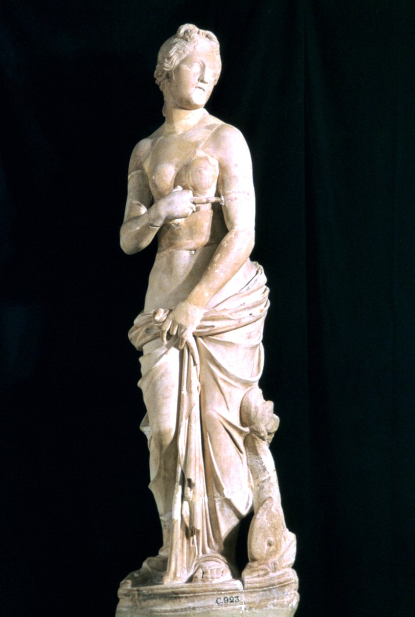 Statue of the chaste Venus, from Carthage by Unbekannt