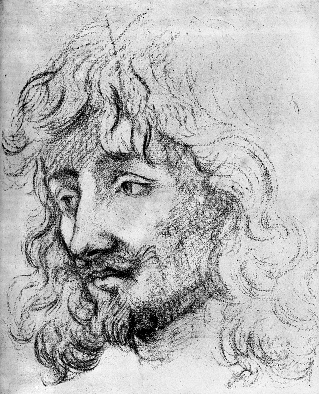 Study of a Head by Unbekannt