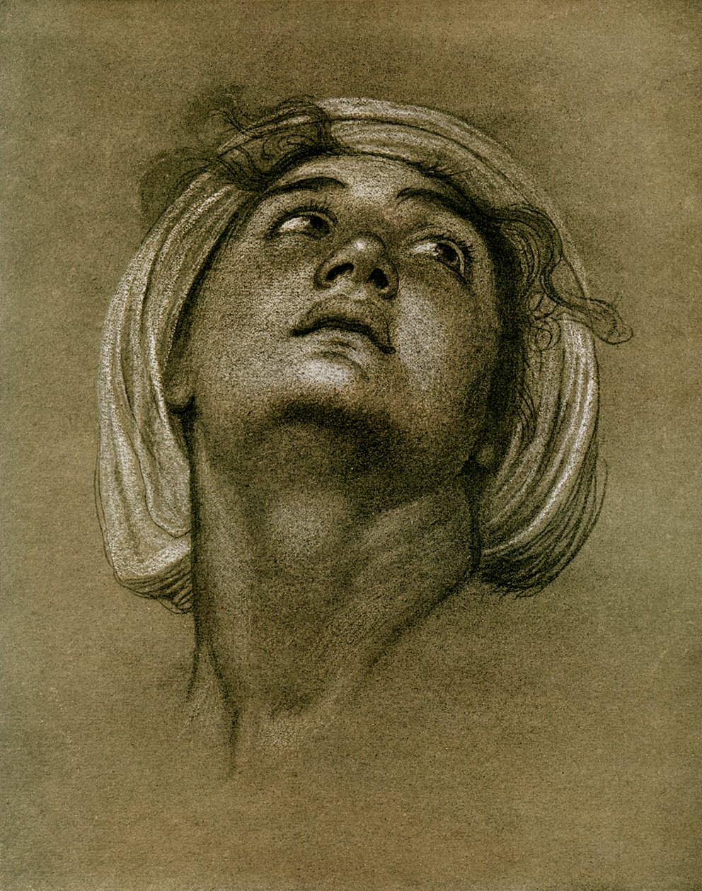 Study of a head by Unbekannt