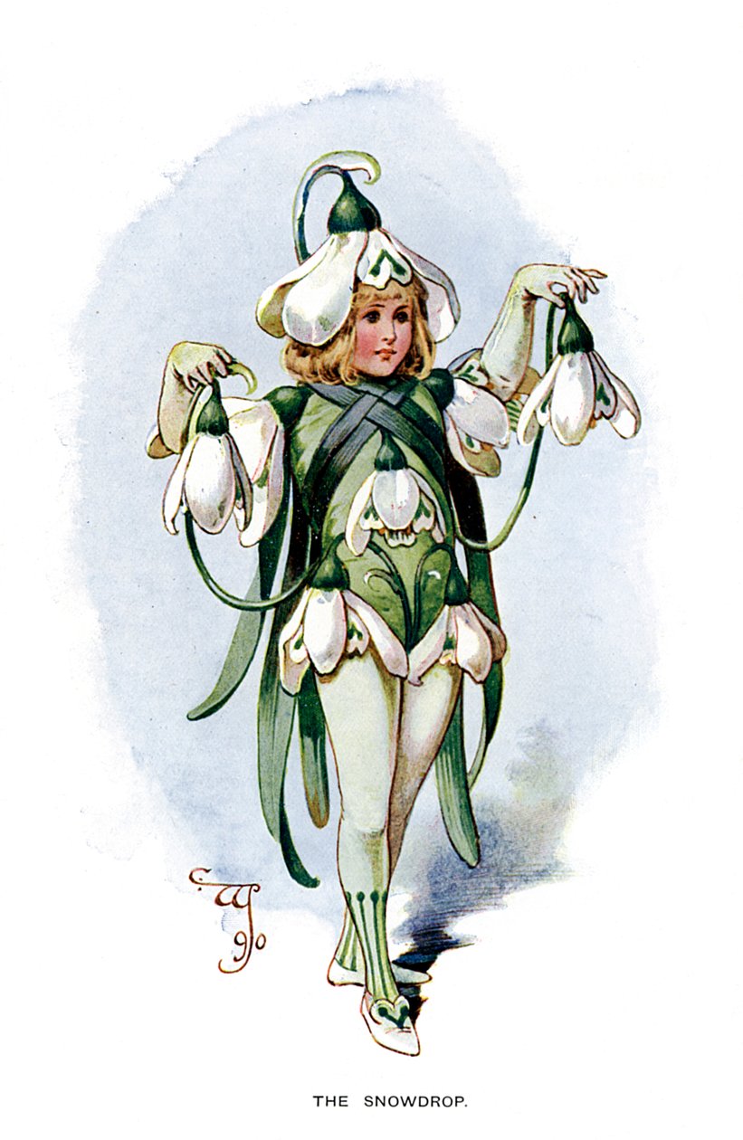 The Snowdrop, 1899 by Unbekannt