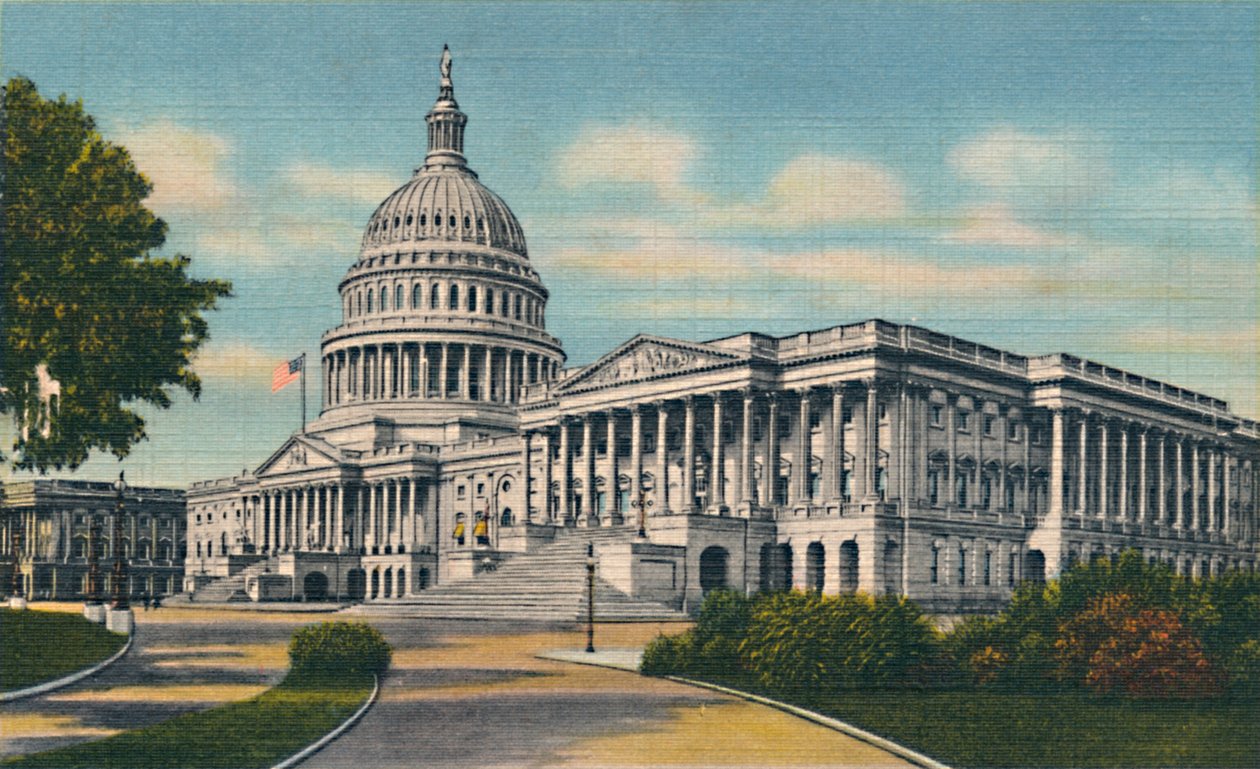 The U.S. Capitol, Washington D.C. by Unbekannt