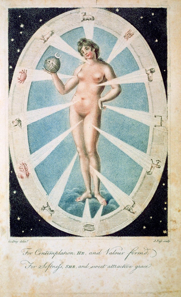 The Female Form with Astrological Symbols by Unbekannt