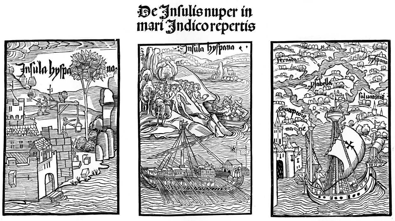 The landing of Christopher Columbus on Hispaniola by Unbekannt