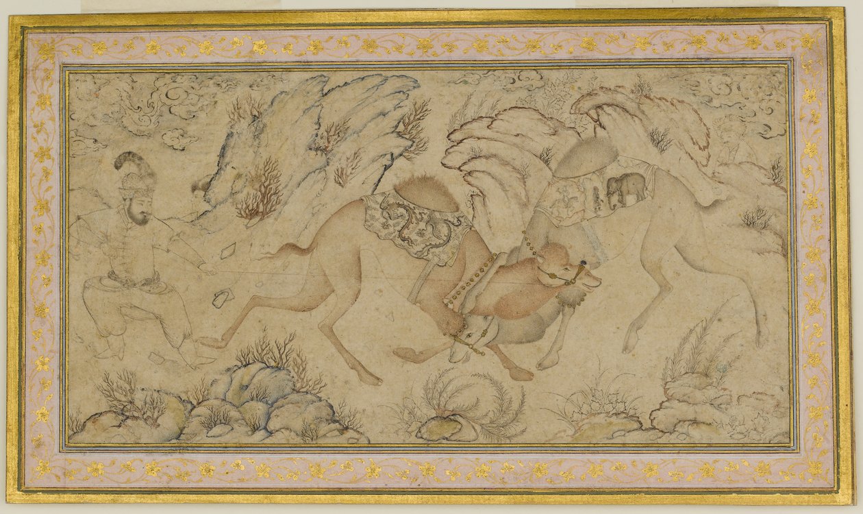 Two Camels Fighting by Unbekannt