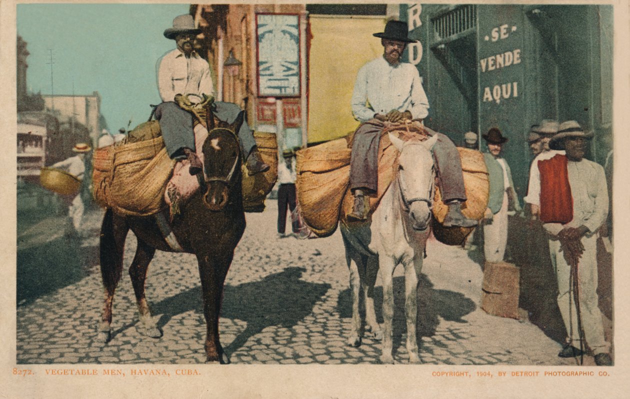 Vegetable Men, Havana, Cuba, 1904 by Unbekannt