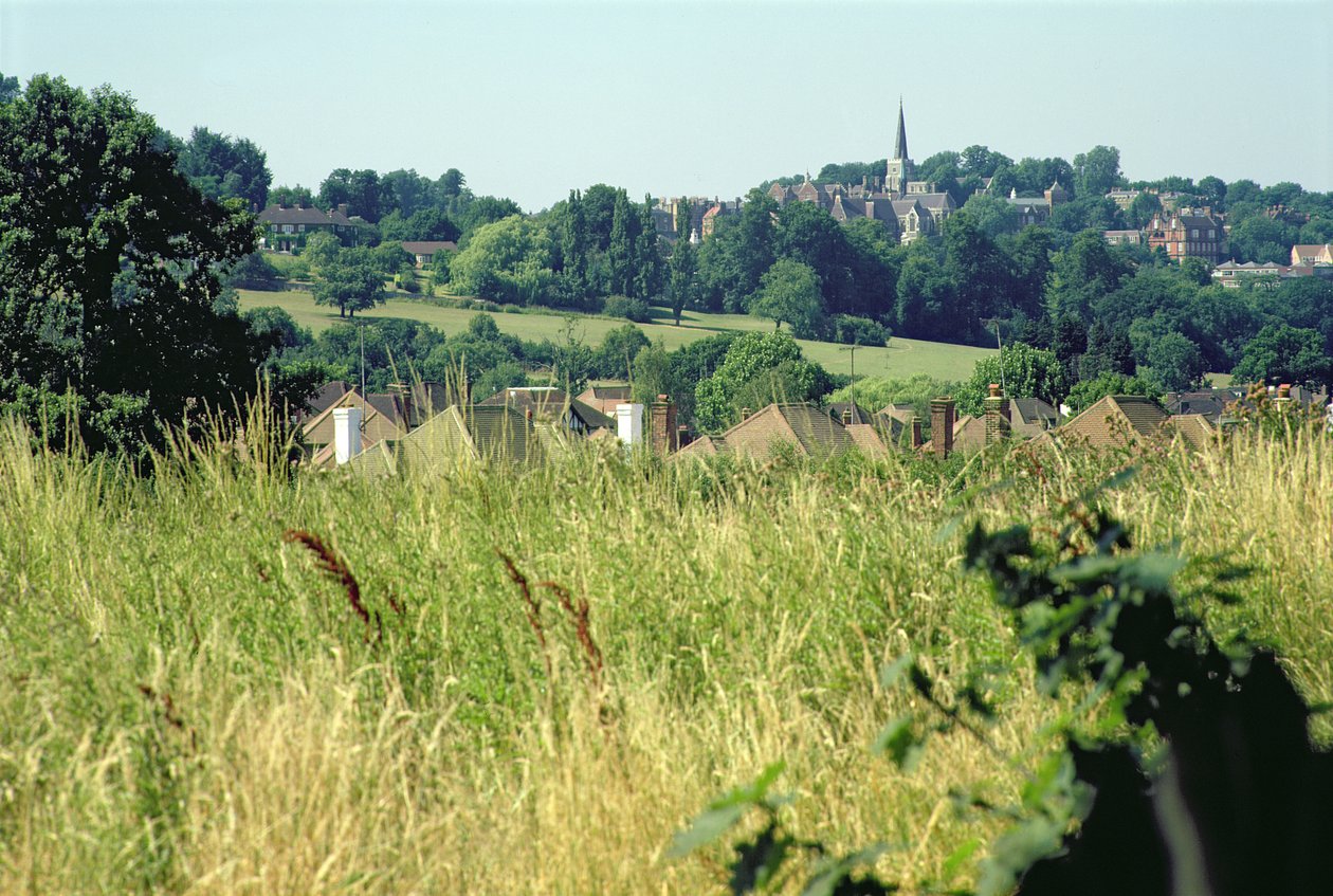 General View of the Hill by Unbekannt Unbekannt