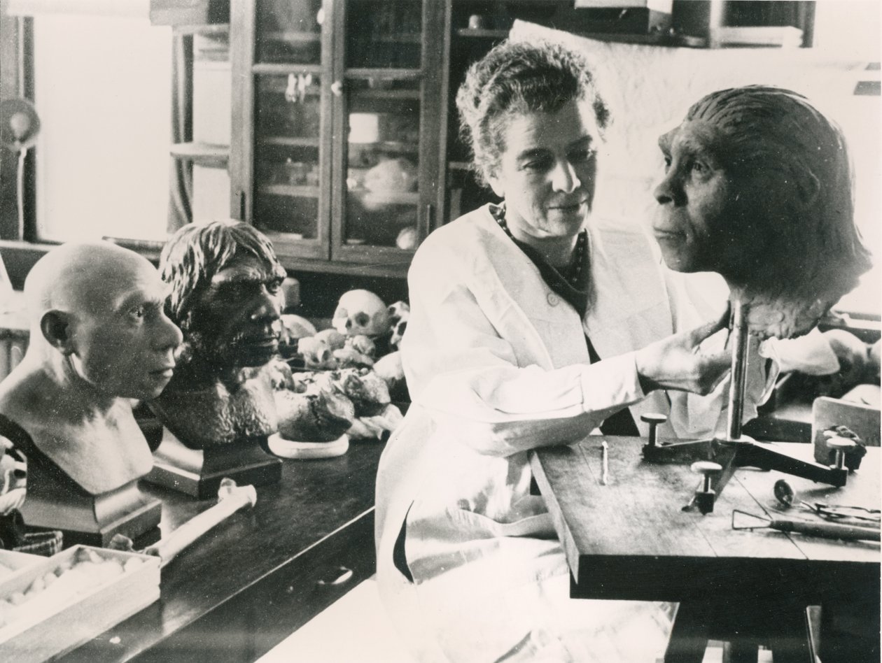 Lucile Swan recreating a model of the skull of the Peking Man Nelly by Unbekannt Unbekannt