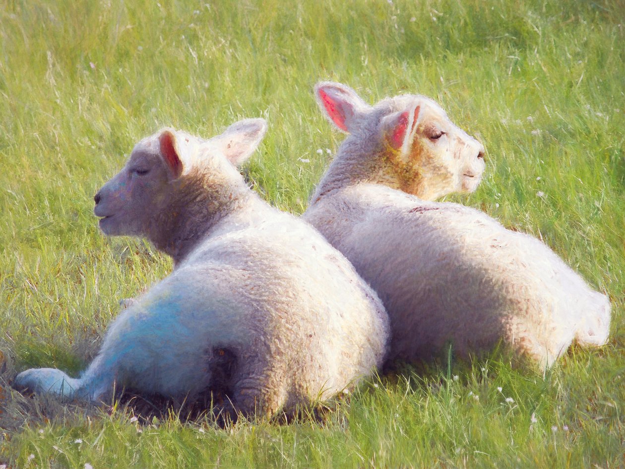 Twins by Unbekannt Unbekannt