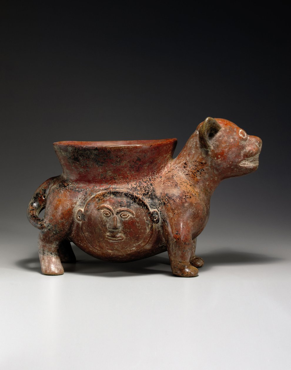 A Colima Dog, c. 100 BC-250 AD by Unbekannt