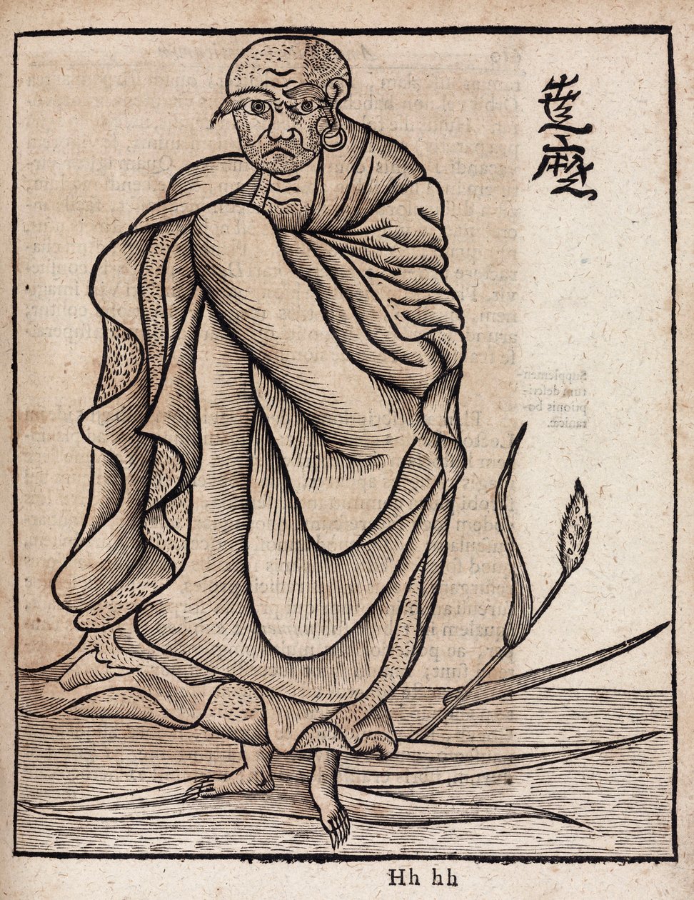 Portrait of Bodhidharma by Unbekannt