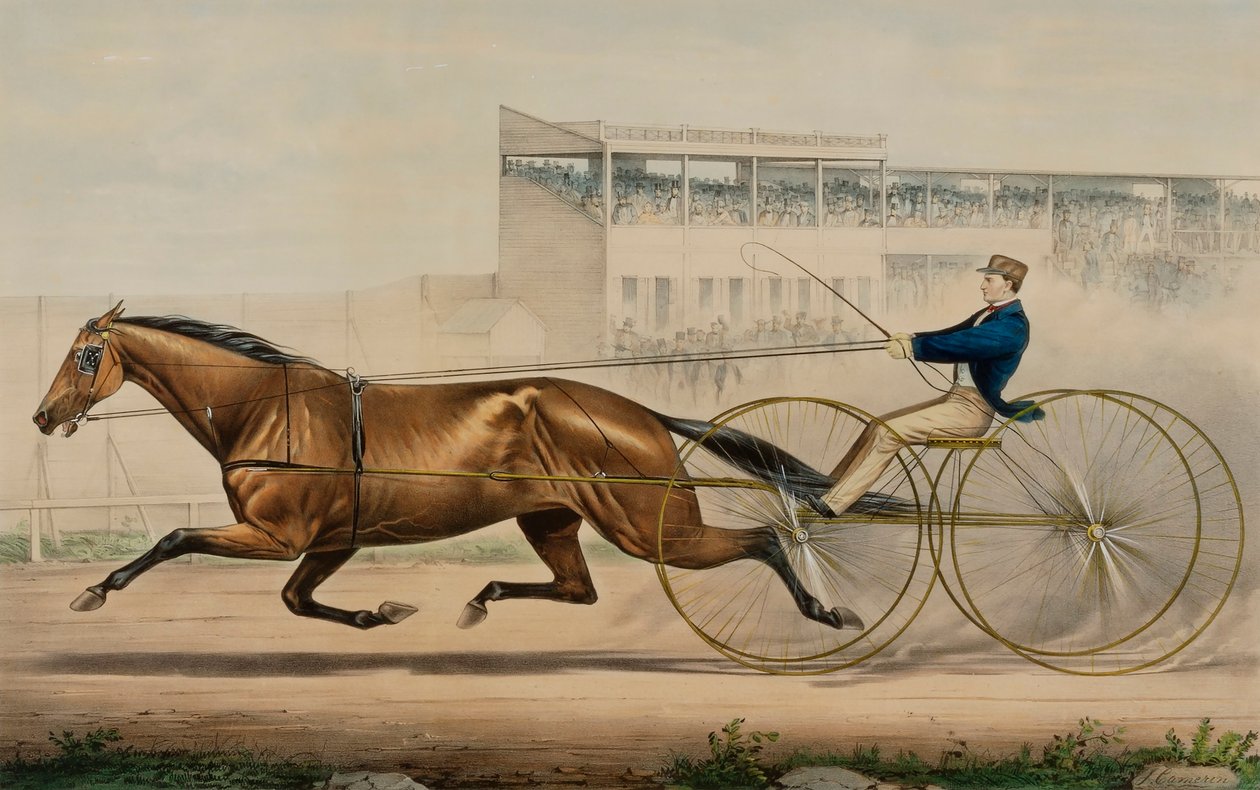 The Celebrated Trotting Mare Lady Thorn by Unidentified