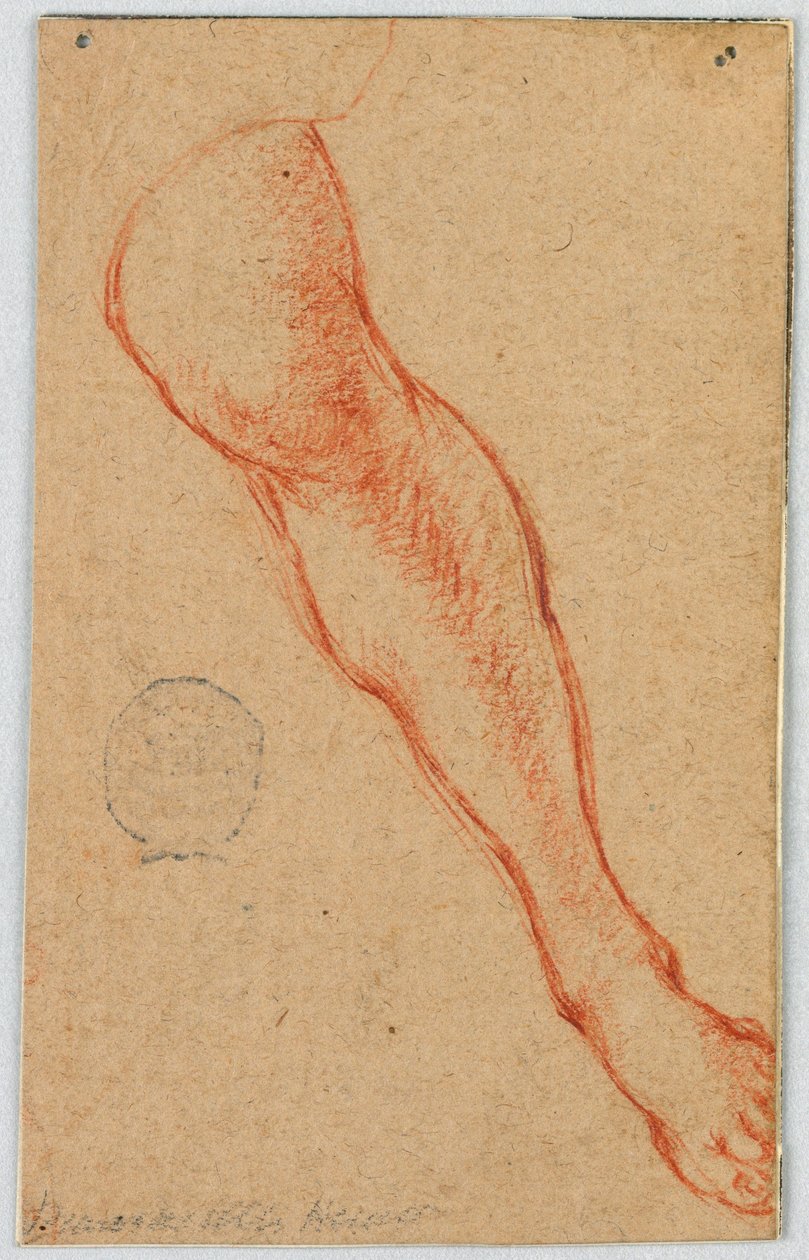 Drawing, Study of the Left Leg of a Seated Woman by Unknown