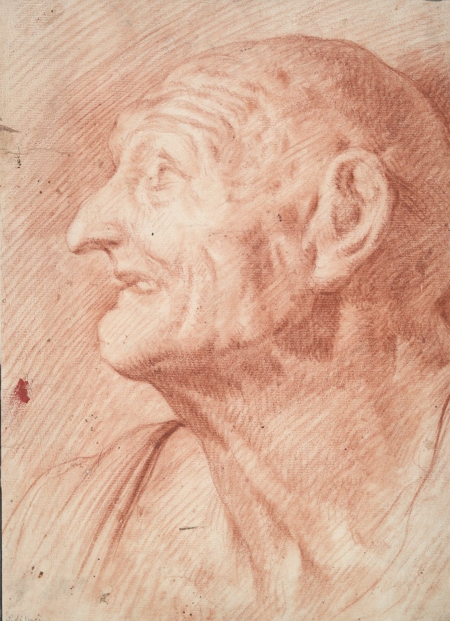 Bust of Seneca by Unknown