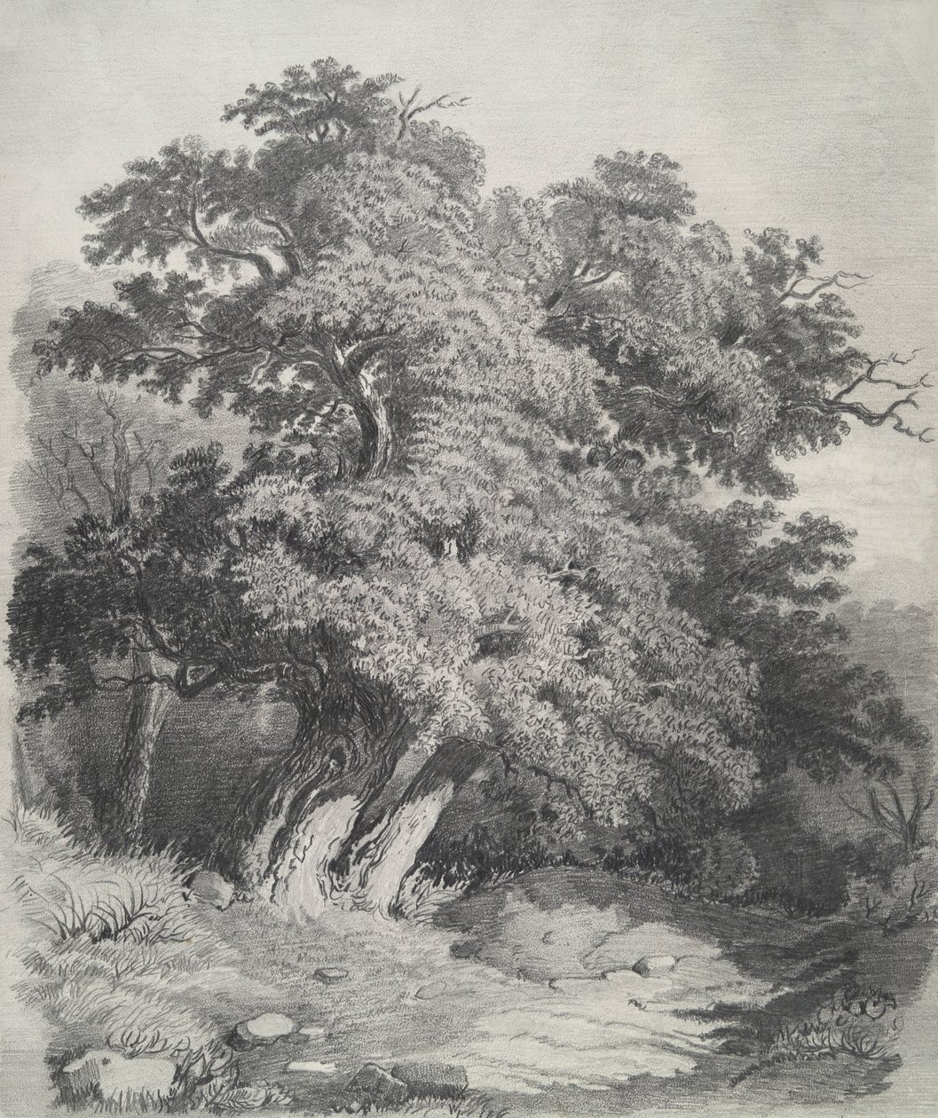 Clump of Trees by Unknown