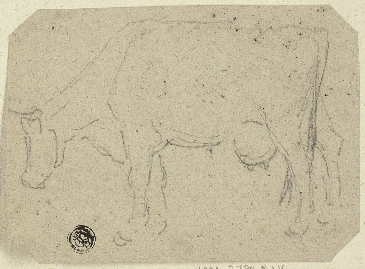 Cow Grazing; Head of an Animal by Unknown