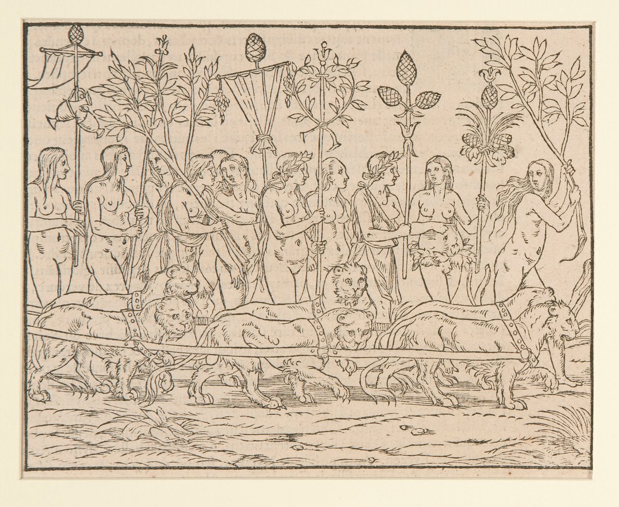 Page from a Copy after Colonna by Unknown