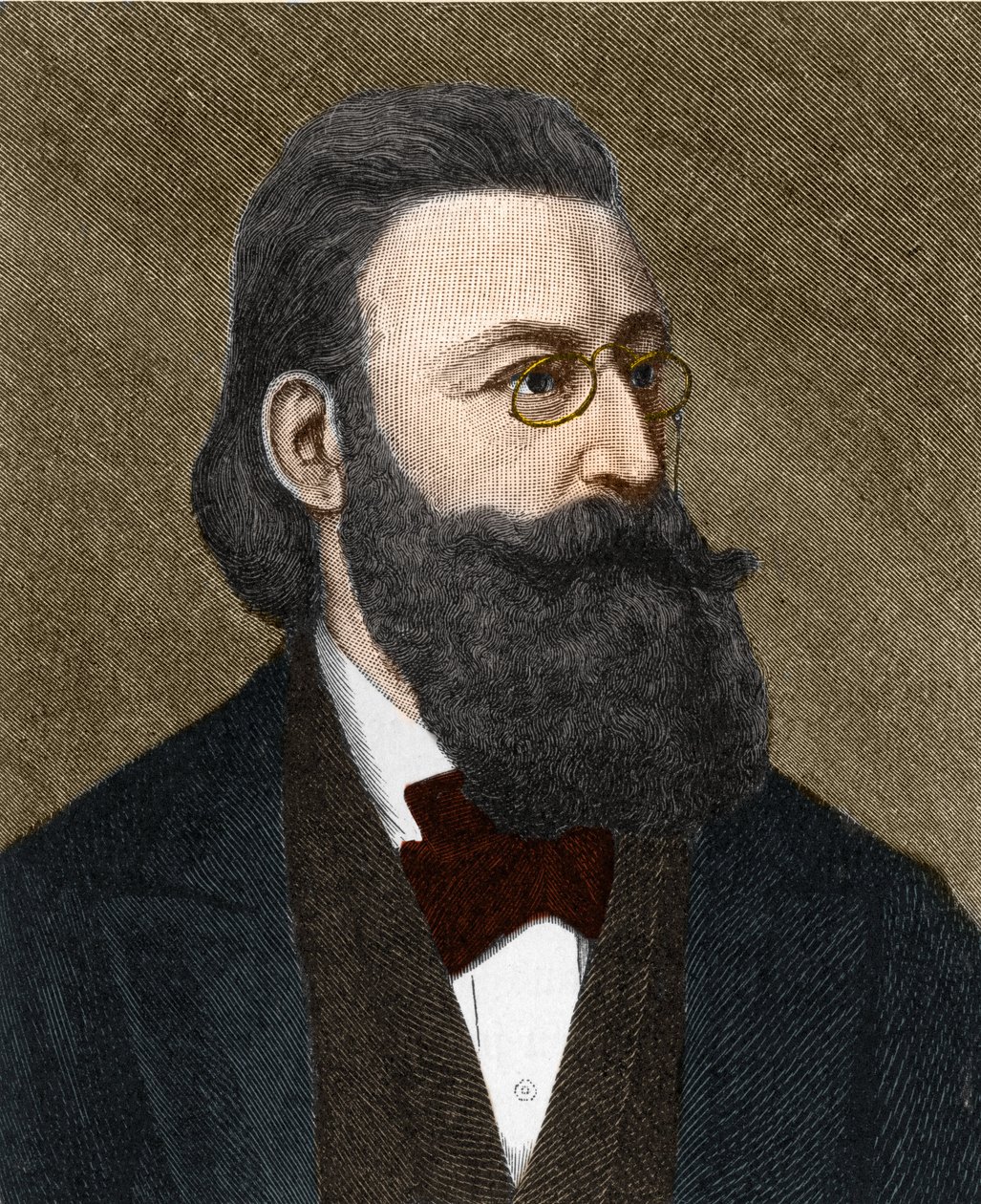 Portrait of Ludwig Anzengruber, Austrian writer. by Unknown artist