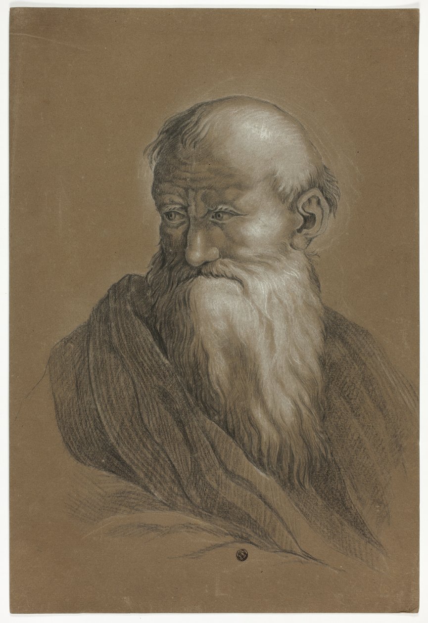 Bust of Bearded Old Man by Unknown artist