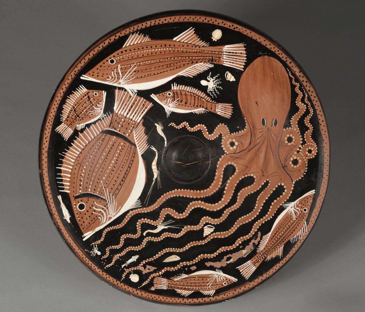 Red-Figure Fish Plate: Octopi, Mullet, Bream, Shellfish by Unknown artist