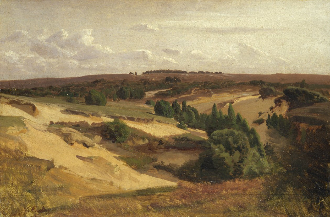 The heath near Bispingen by Valentin Ruths