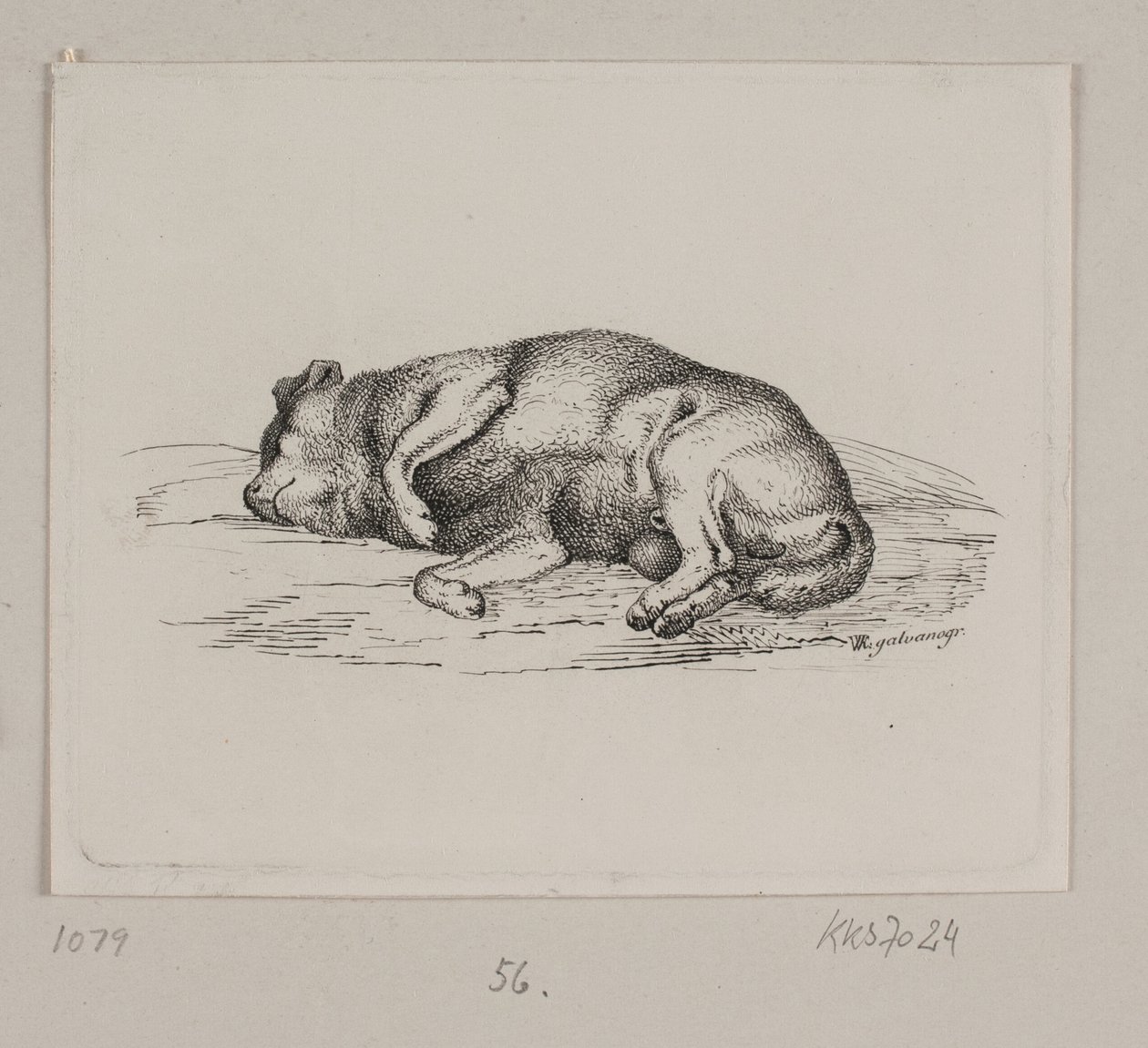 A Lying Dog by Vilhelm Kyhn