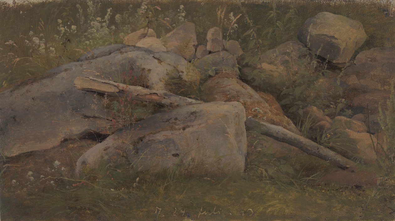 Study of a Stone Heap by Vilhelm Petersen