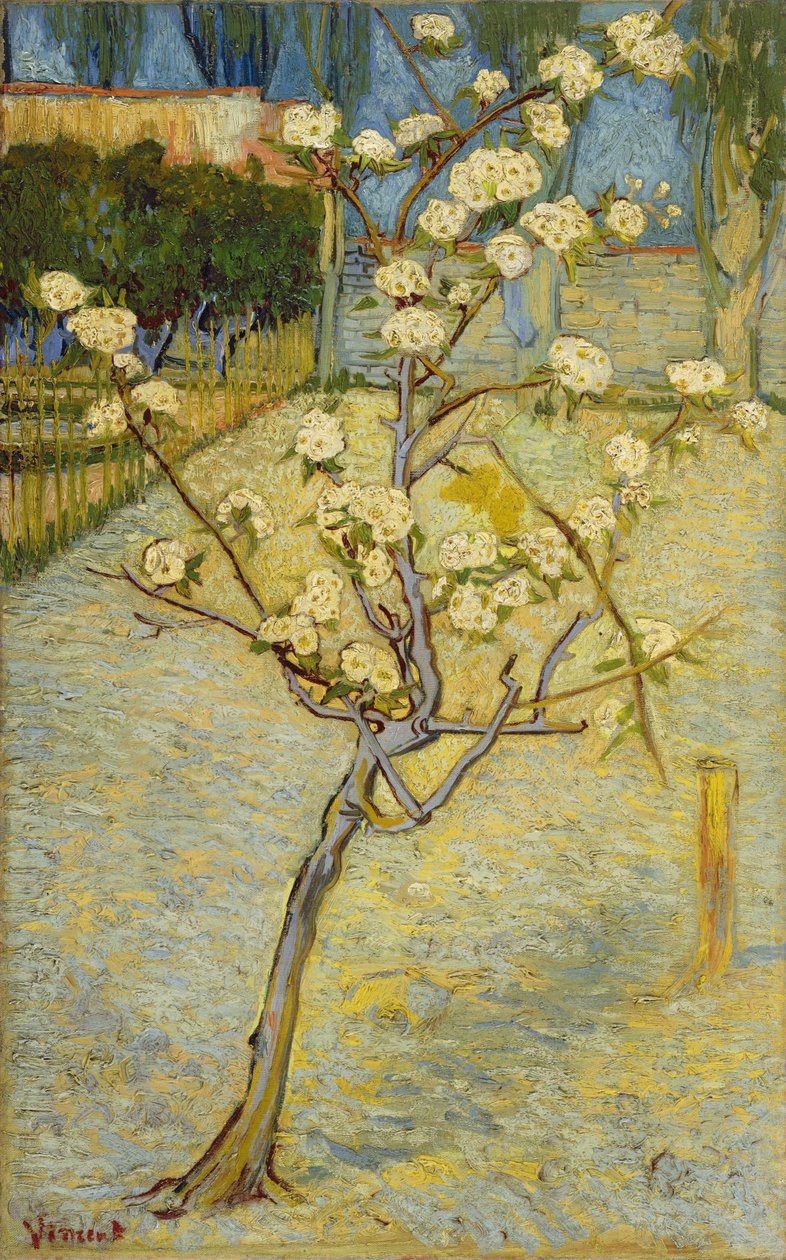 Blooming Pear Tree by Vincent van Gogh