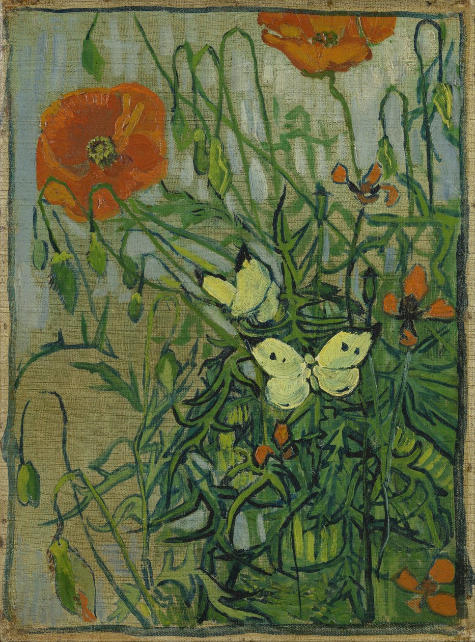 Butterflies and poppies by Vincent van Gogh