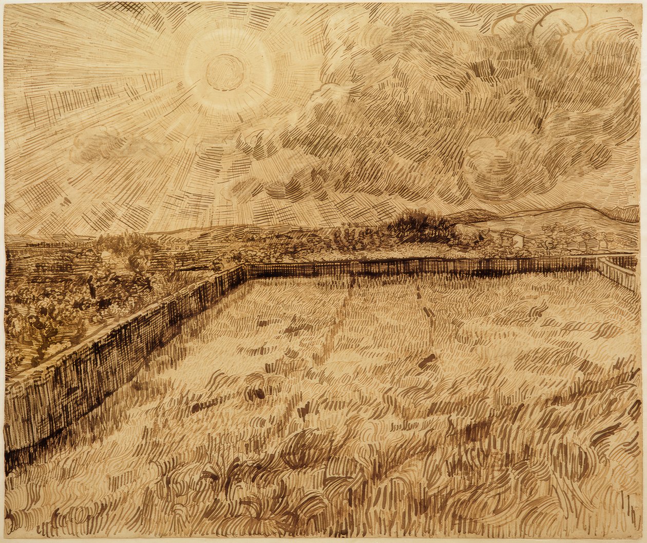 Fields and Olive Trees by Vincent van Gogh