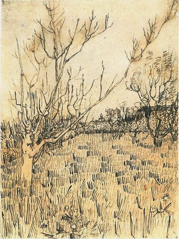 Orchard with Arles in the Background by Vincent van Gogh