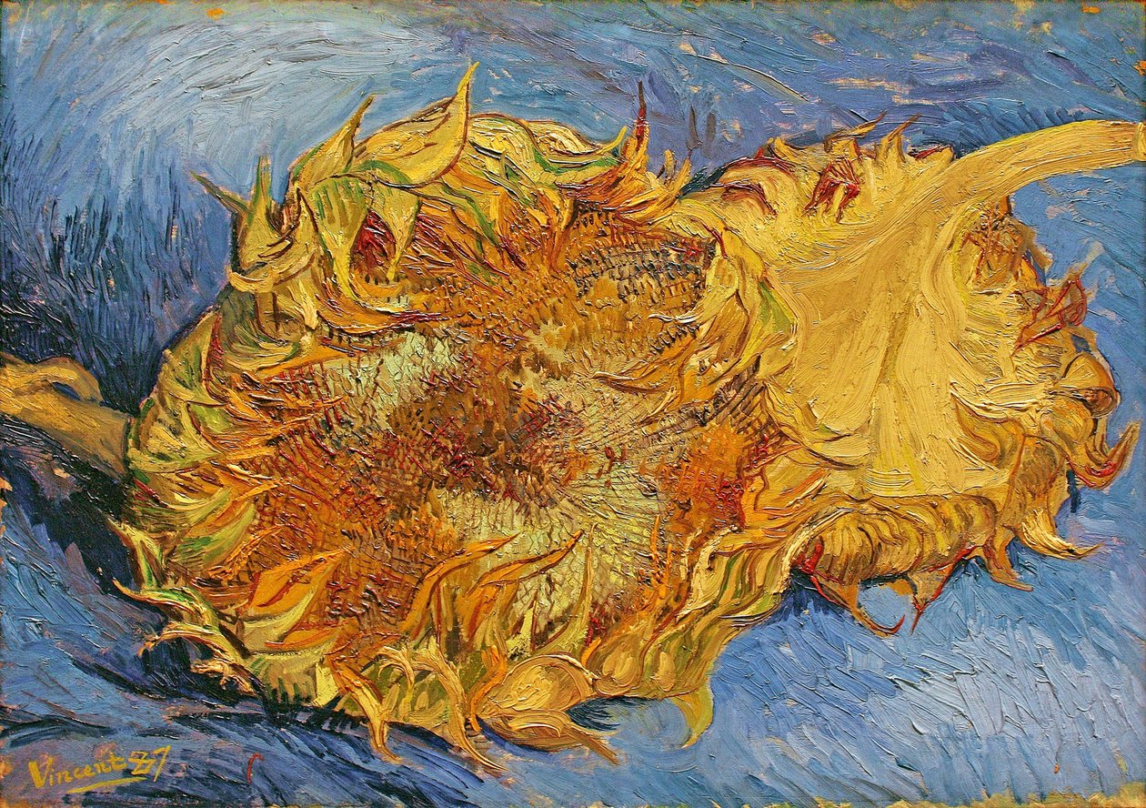 Two Cut Sunflowers by Vincent van Gogh