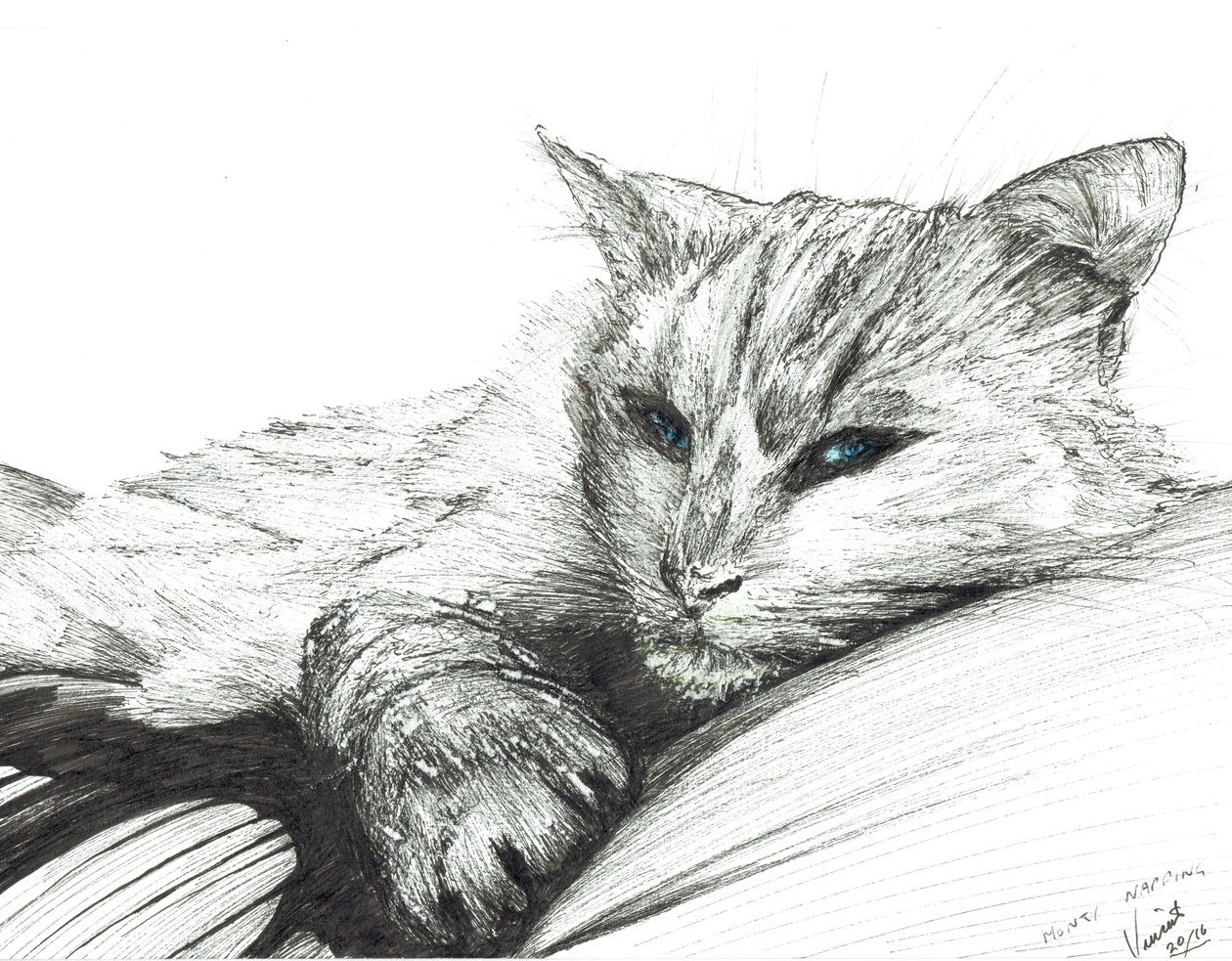 Monty, Napping by Vincent Alexander Booth