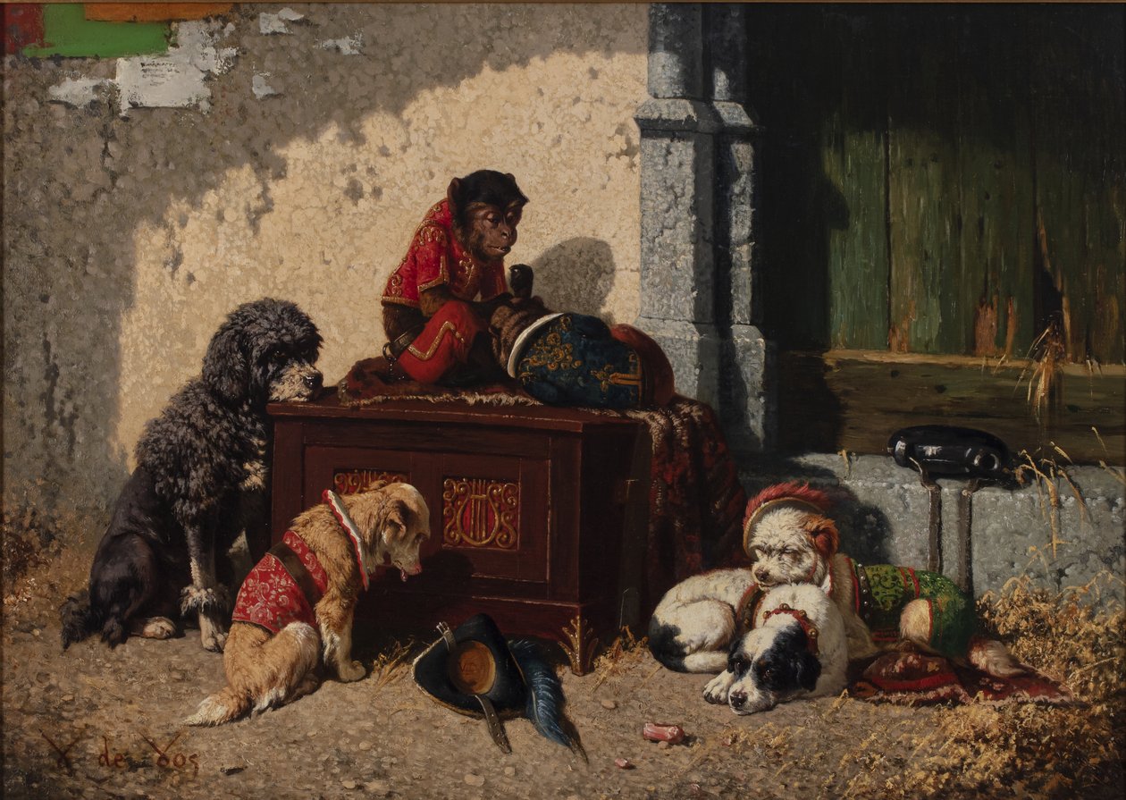 Circus Companions by Vincent de Vos