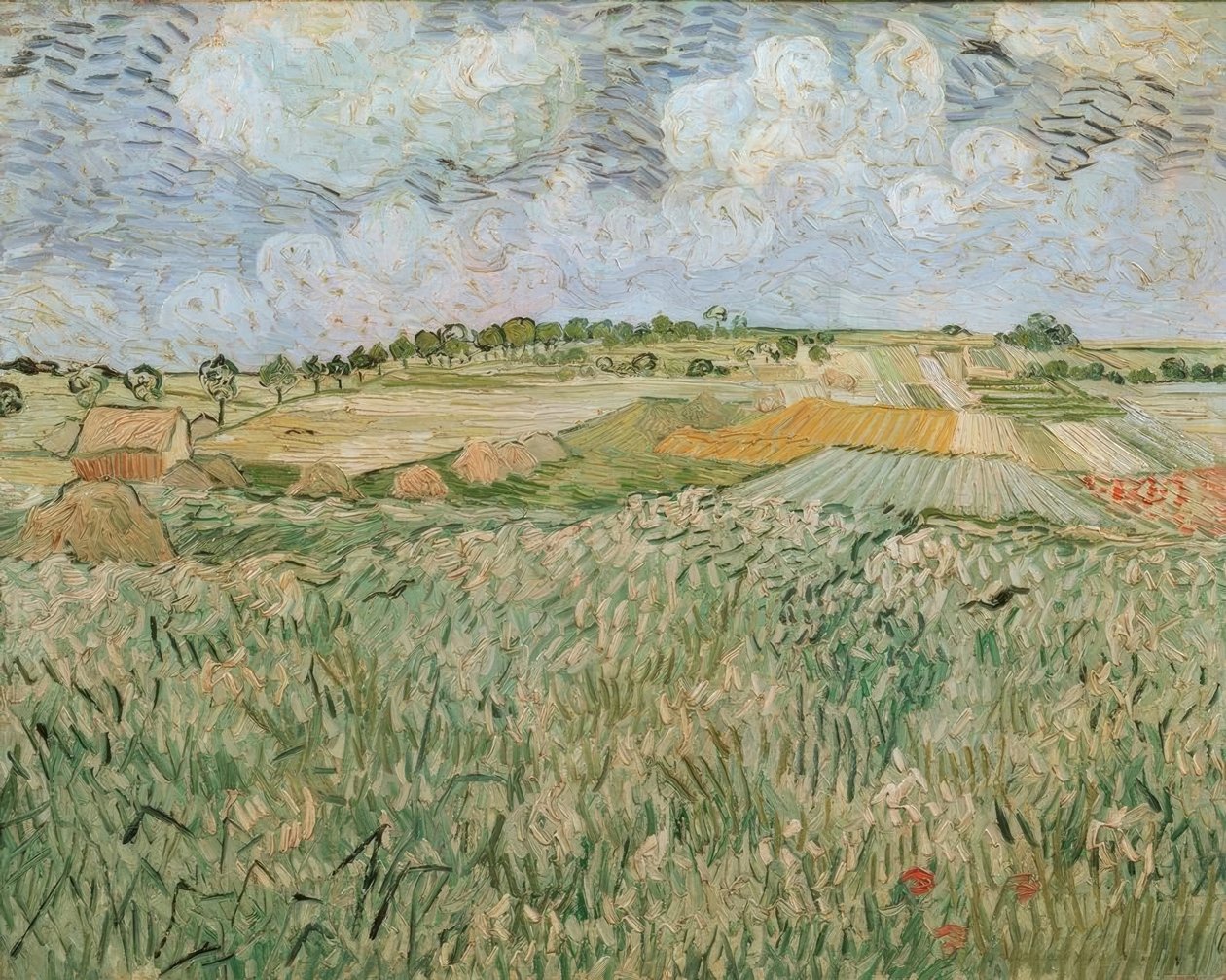 The Plain at Auvers with Rain Clouds by Vincent van Gogh