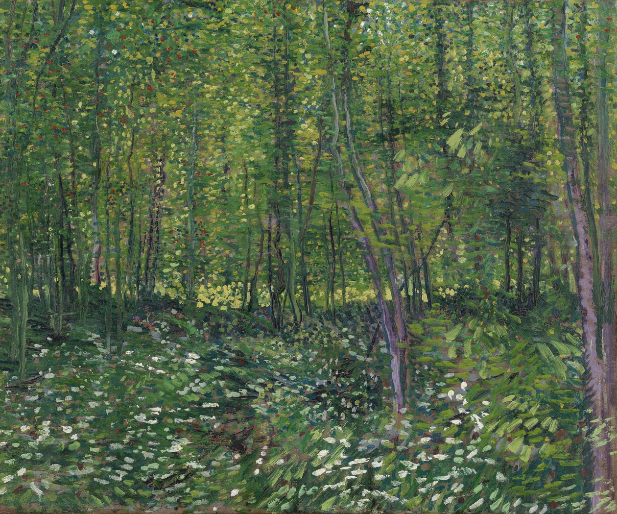 Trees and underwood by Vincent van Gogh