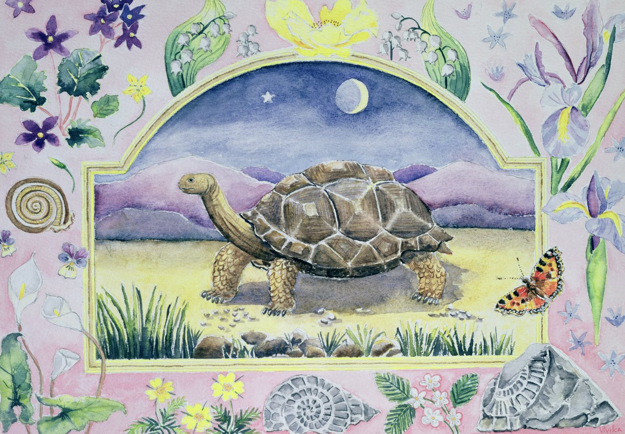 Giant Tortoise (month of May from a calendar) by Vivika Alexander